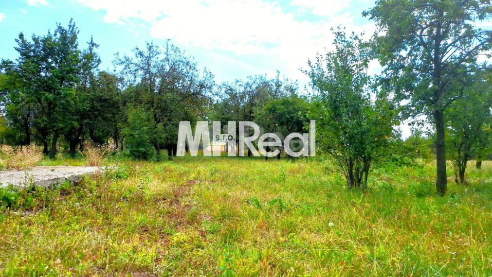 BAČKOVÍK - rovinatý pozemok v zastavanom území 40 EUR/m2 