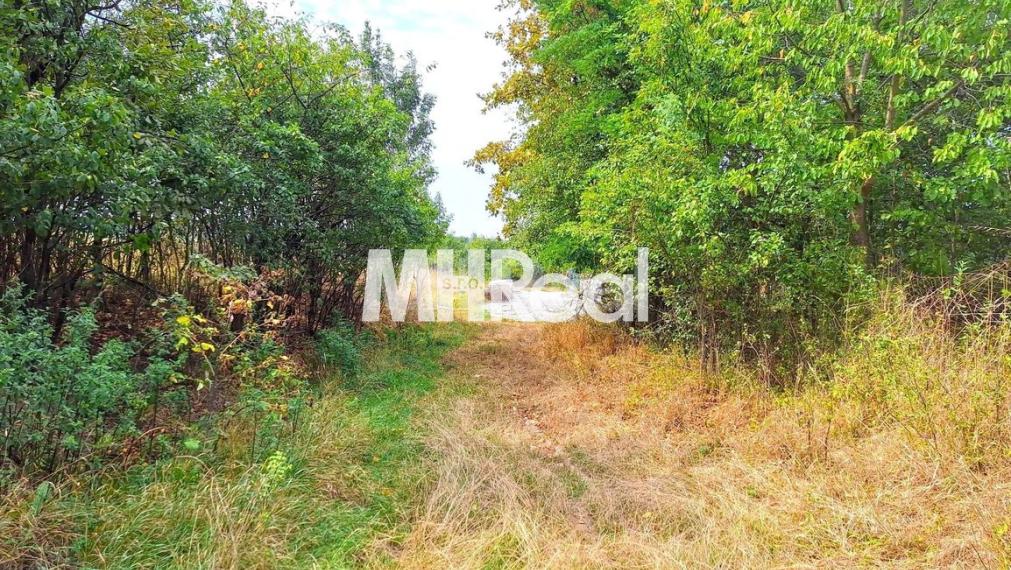 BAČKOVÍK - rovinatý pozemok v zastavanom území 40 EUR/m2 