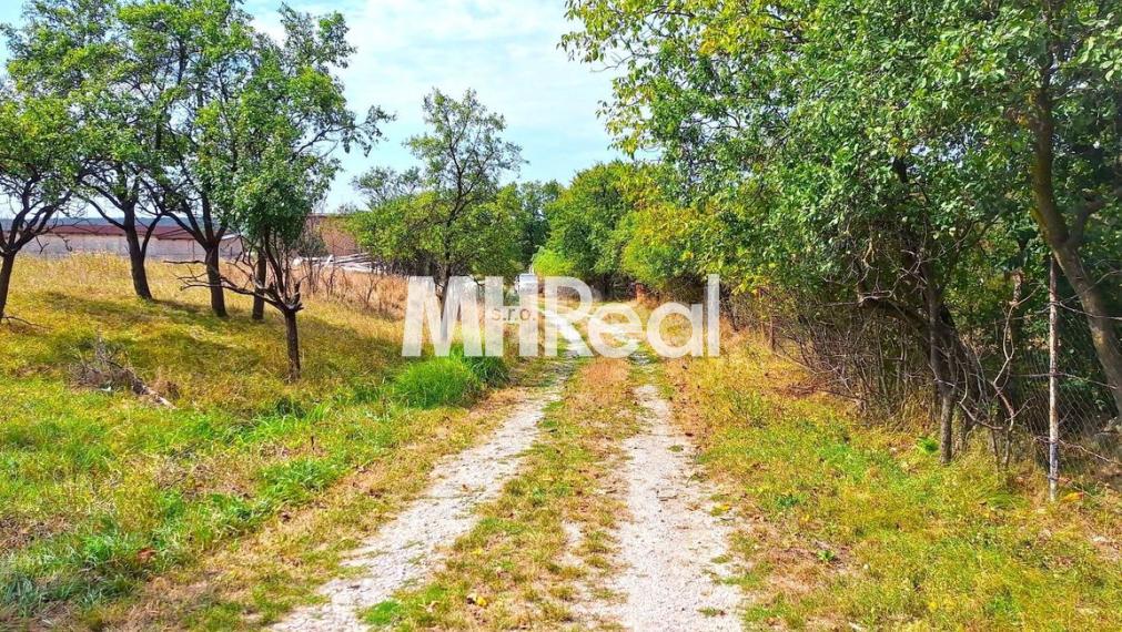 BAČKOVÍK - rovinatý pozemok v zastavanom území 40 EUR/m2 