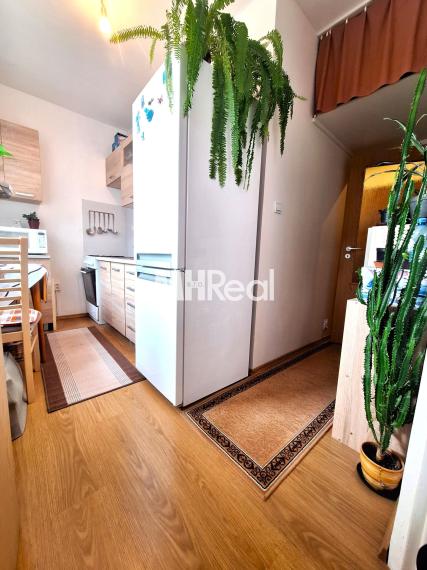 ĽUDOVÁ ul. - Terasa zrekonštruovaný 1 izbový byt 28 m2 Pekná lokalita