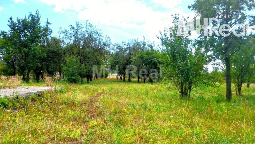 BAČKOVÍK - rovinatý pozemok v zastavanom území 40 EUR/m2 