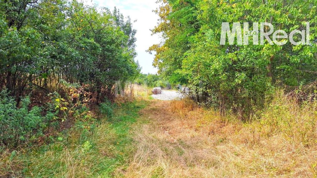 BAČKOVÍK - rovinatý pozemok v zastavanom území 40 EUR/m2 