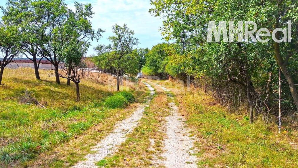 BAČKOVÍK - rovinatý pozemok v zastavanom území 40 EUR/m2 