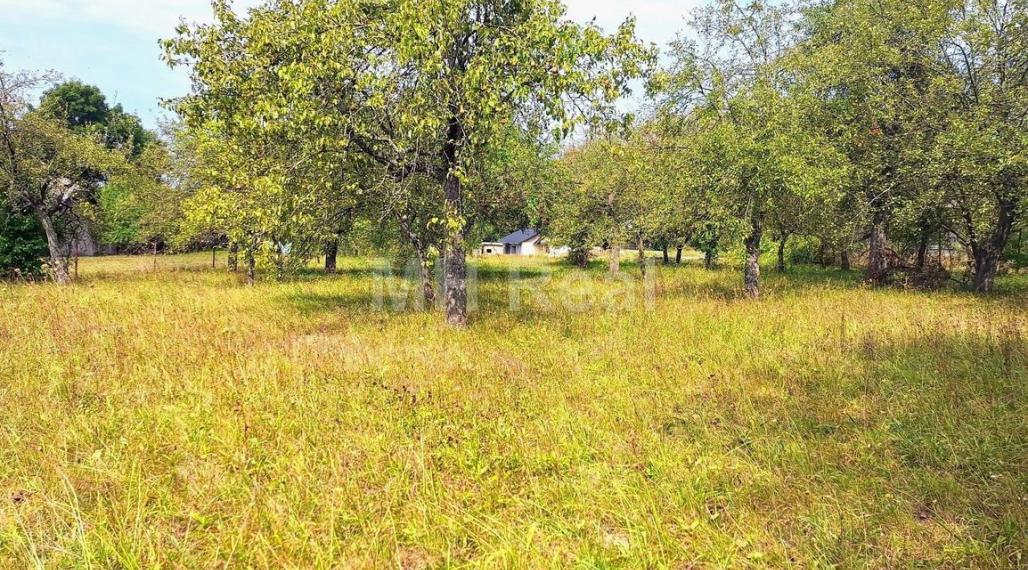 BAČKOVÍK - rovinatý pozemok v zastavanom území 40 EUR/m2 