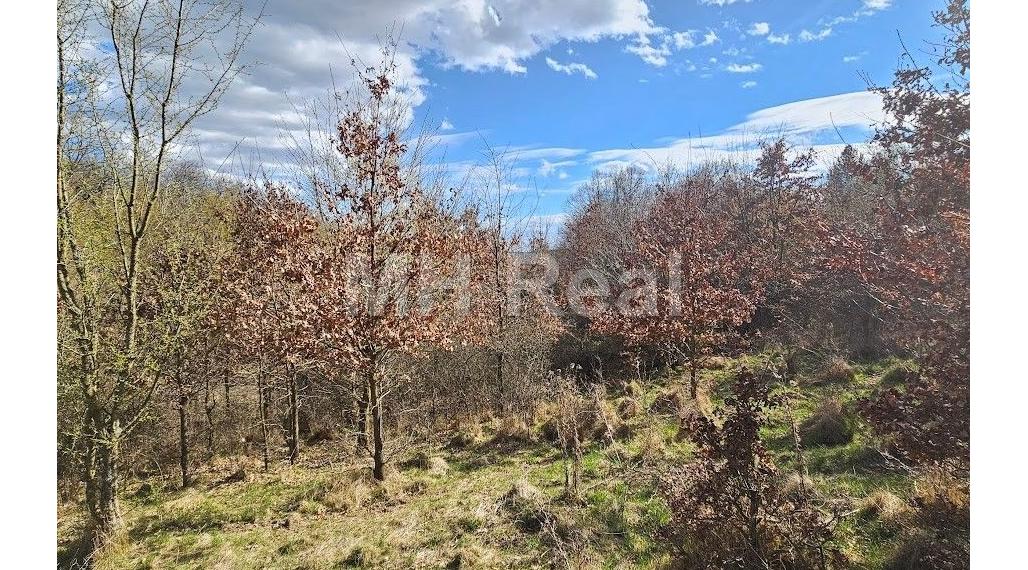 KANAŠ pozemok v lone prírody 