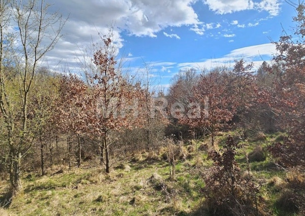 KANAŠ pozemok v lone prírody 