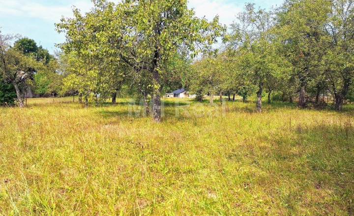 Predaný - BAČKOVÍK - rovinatý pozemok v zastavanom území 35 EUR/m²