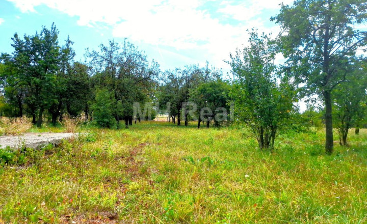 Predaný - BAČKOVÍK - rovinatý pozemok v zastavanom území 35 EUR/m² - fotografia 1