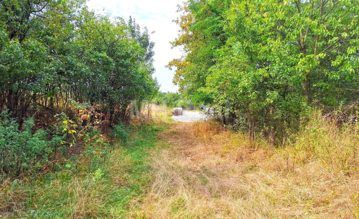Predaný - BAČKOVÍK - rovinatý pozemok v zastavanom území 35 EUR/m² - fotografia 2