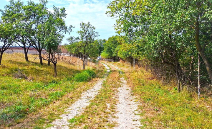 Predaný - BAČKOVÍK - rovinatý pozemok v zastavanom území 35 EUR/m² - fotografia 3