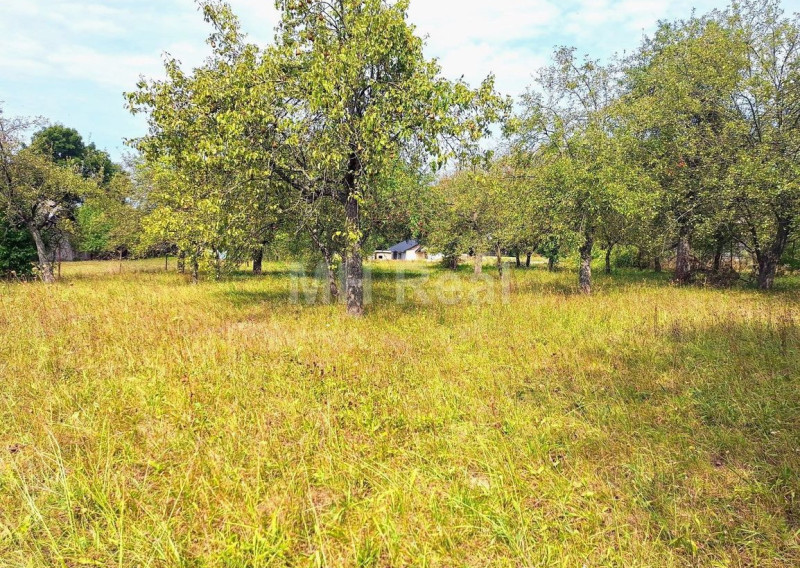Predaný - BAČKOVÍK - rovinatý pozemok v zastavanom území 35 EUR/m²
